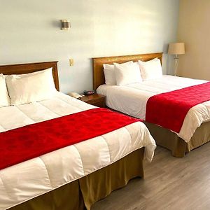 Suite à 1 Chambre à Coucher Lit King-Size